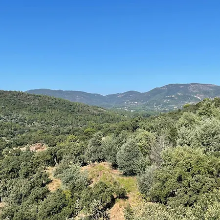 La Golfe De Saint-tropez Διαμέρισμα Σαιντ-Μαξίμ